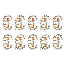 はくたちひろ_コーギー&アメリカンショートヘア5-1