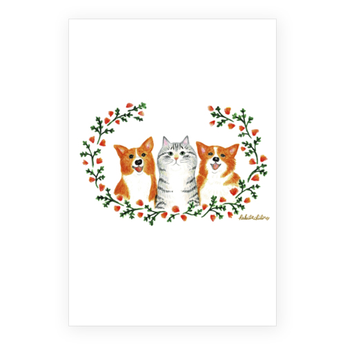 はくたちひろ_コーギー&アメリカンショートヘア5-1