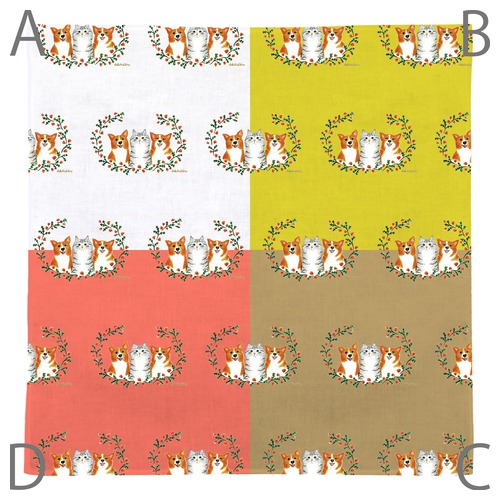 はくたちひろ_コーギー&アメリカンショートヘア5-1