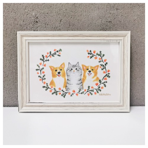 はくたちひろ_コーギー&アメリカンショートヘア5-1