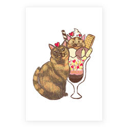 Ina-na_アメリカンショートヘア5-1