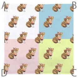 Ina-na_アメリカンショートヘア5-1