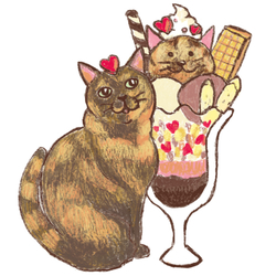 Ina-na_アメリカンショートヘア5-1