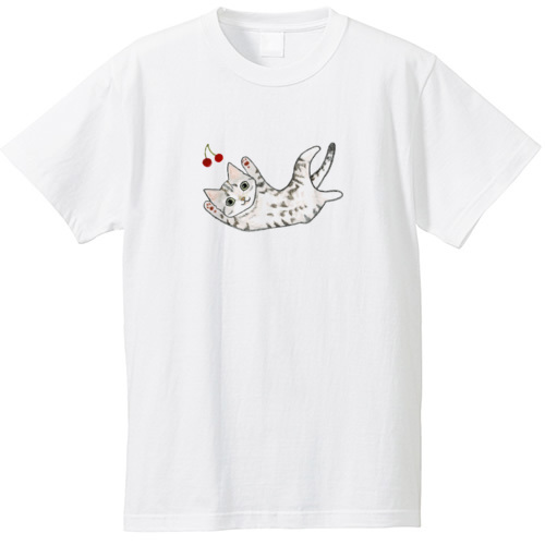 shoco_アメリカンショートヘア5-1