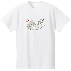 shoco_アメリカンショートヘア5-1