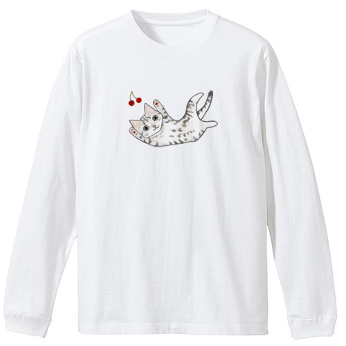 shoco_アメリカンショートヘア5-1