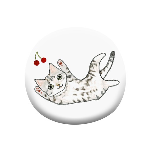 shoco_アメリカンショートヘア5-1