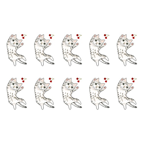 shoco_アメリカンショートヘア5-1