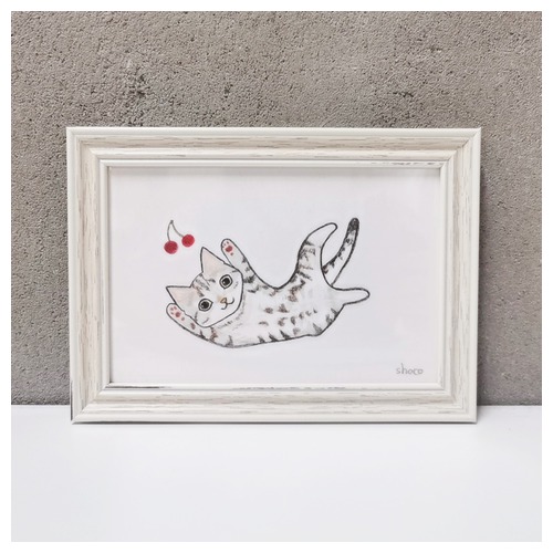 shoco_アメリカンショートヘア5-1