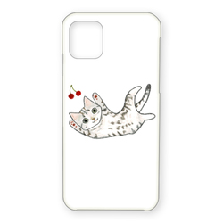 shoco_アメリカンショートヘア5-1