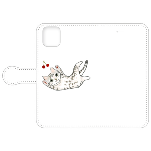 shoco_アメリカンショートヘア5-1