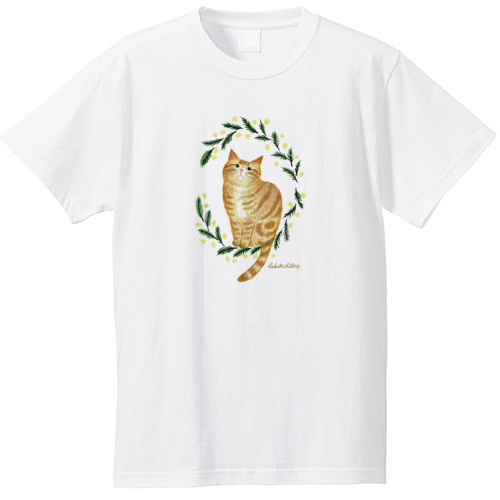 はくたちひろ_アメリカンショートヘア5-1