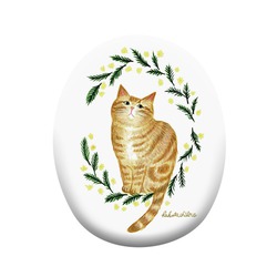 はくたちひろ_アメリカンショートヘア5-1