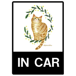 はくたちひろ_アメリカンショートヘア5-1