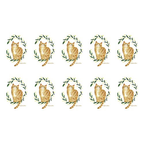 はくたちひろ_アメリカンショートヘア5-1