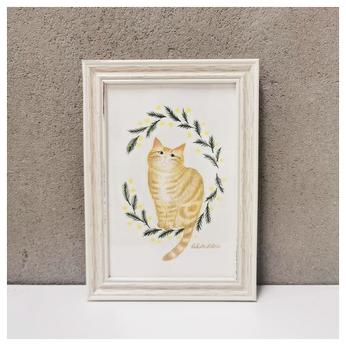 はくたちひろ_アメリカンショートヘア5-1