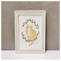 はくたちひろ_アメリカンショートヘア5-1