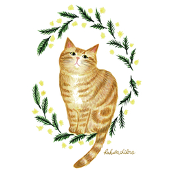 はくたちひろ_アメリカンショートヘア5-1