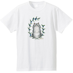 はくたちひろ_アメリカンショートヘア5-2