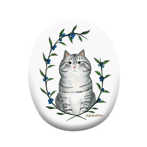 はくたちひろ_アメリカンショートヘア5-2