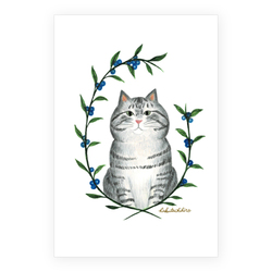 はくたちひろ_アメリカンショートヘア5-2