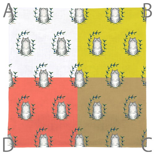 はくたちひろ_アメリカンショートヘア5-2