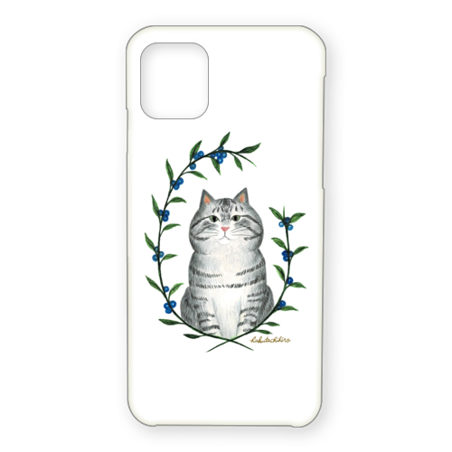 はくたちひろ_アメリカンショートヘア5-2