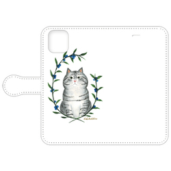 はくたちひろ_アメリカンショートヘア5-2