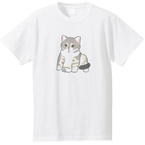 もちこ_アメリカンショートヘア5-1