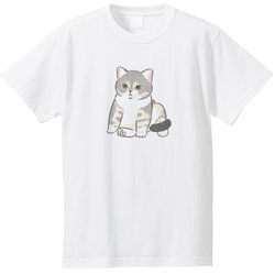 もちこ_アメリカンショートヘア5-1