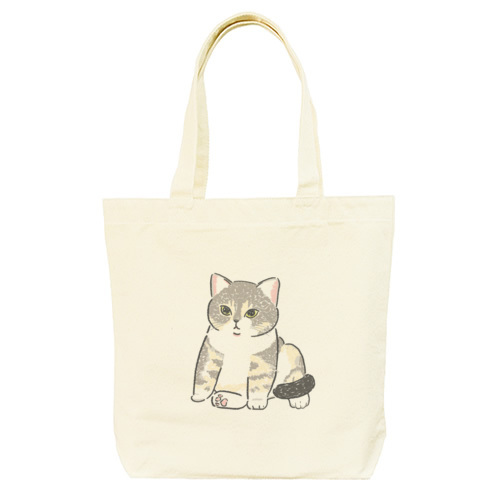 もちこ_アメリカンショートヘア5-1