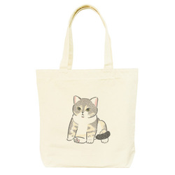 もちこ_アメリカンショートヘア5-1