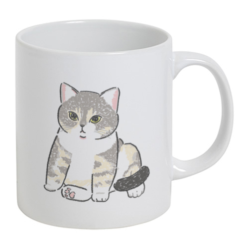 もちこ_アメリカンショートヘア5-1