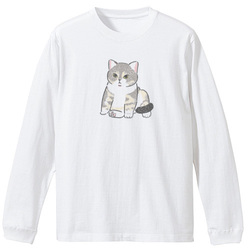 もちこ_アメリカンショートヘア5-1