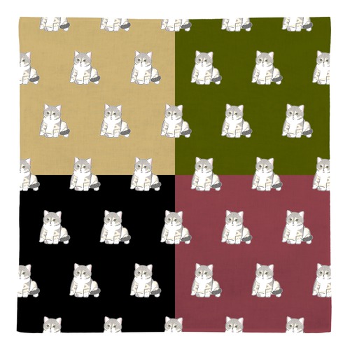 もちこ_アメリカンショートヘア5-1