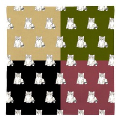 もちこ_アメリカンショートヘア5-1