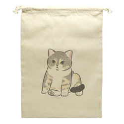 もちこ_アメリカンショートヘア5-1