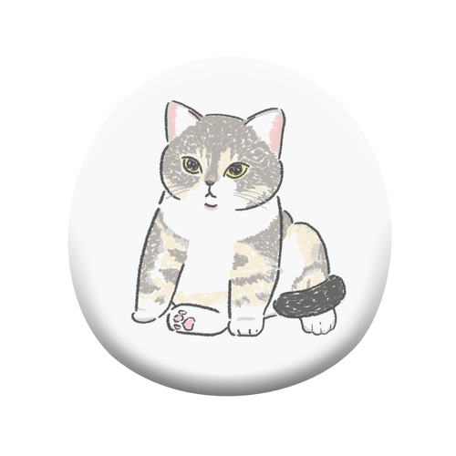 もちこ_アメリカンショートヘア5-1