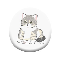 もちこ_アメリカンショートヘア5-1