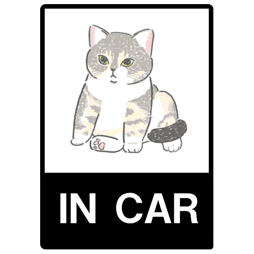 もちこ_アメリカンショートヘア5-1