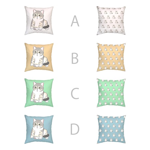 もちこ_アメリカンショートヘア5-1