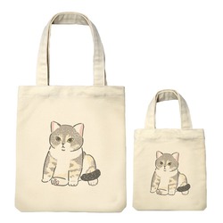 もちこ_アメリカンショートヘア5-1