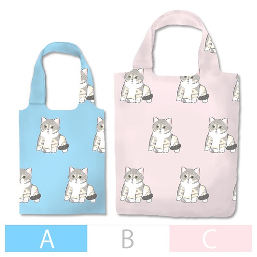 もちこ_アメリカンショートヘア5-1