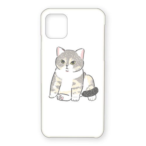 もちこ_アメリカンショートヘア5-1