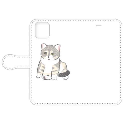 もちこ_アメリカンショートヘア5-1