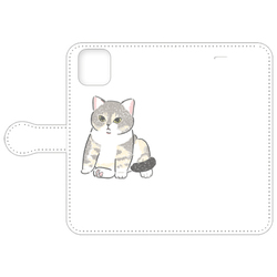 もちこ_アメリカンショートヘア5-1