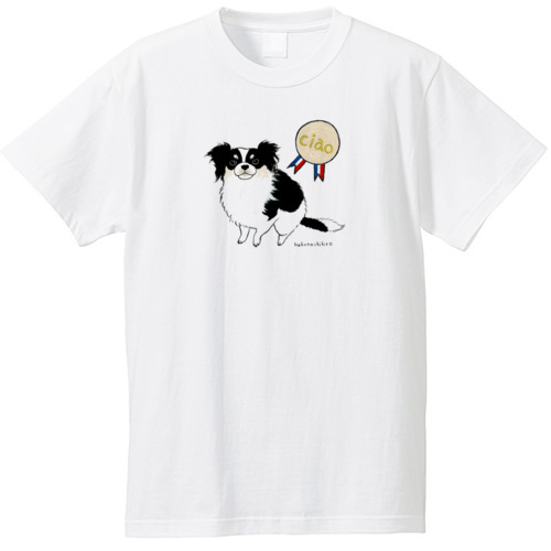 はくたちひろ_チワワ6-1