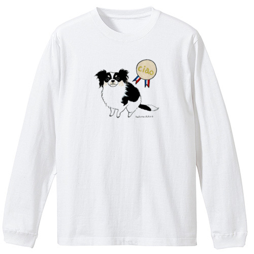 はくたちひろ_チワワ6-1