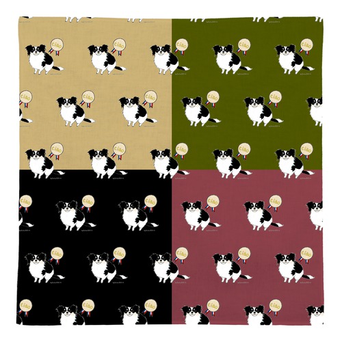 はくたちひろ_チワワ6-1