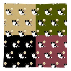 はくたちひろ_チワワ6-1